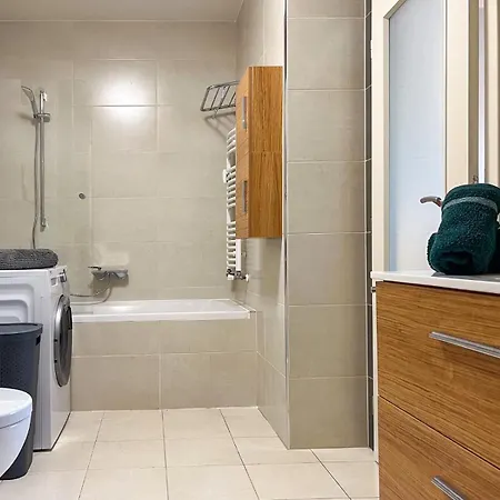 Utulny Byt V Borskem Parku * Plzen